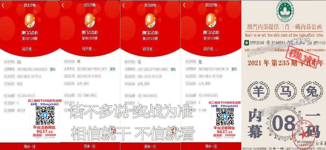 澳门三肖三码精准100%最新功能,最新答案动态解析_vip2121,127.13