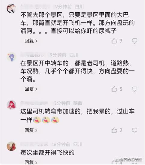 大巴撞山2死2伤,大巴撞车视频